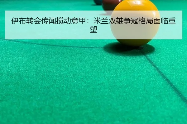 yi-bu-zhuan-hui-chuan-wen-jiao-dong-yi-jia-mi-lan-shuang-xiong-zheng-guan-ge-ju-mian-lin-zhong-su-3-533.jpg
